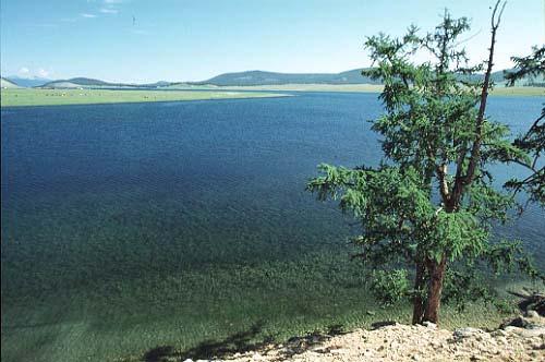 Water Resources Mongolia has a limited water resource. Industry water consumption is increasing.