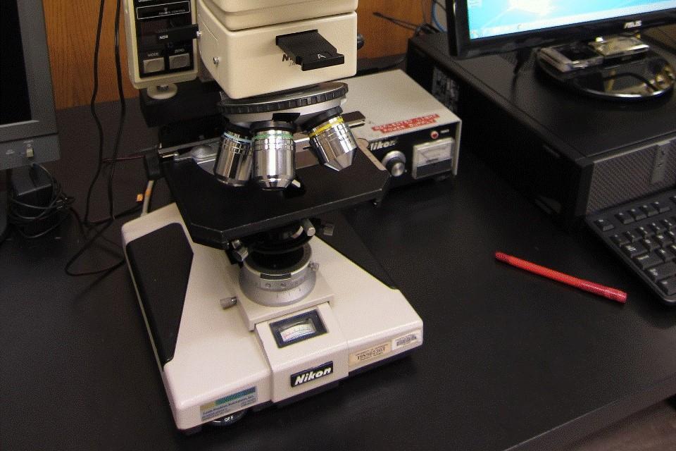 measurements are made either directly at the microscope or