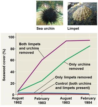 pollinators vulnerable to certain bacterial pathogens Sea Urchins Limit Seaweed Distribution Both