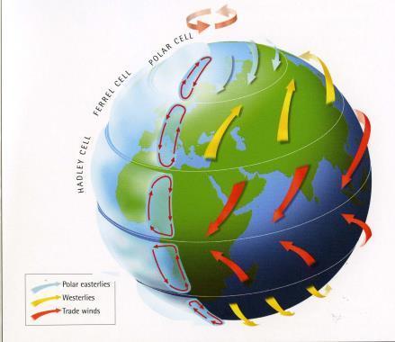 Air Circulation Patterns Global air circulation is driven by 2