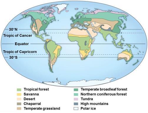 2. Terrestrial Biomes The Terrestrial Biomes Biomes Depend on Climate