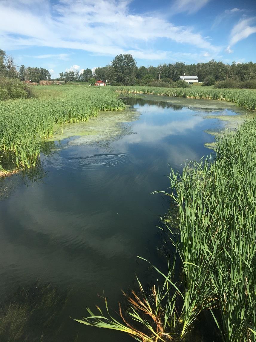 Sturgeon River Projects $500,000 received to date for technical projects: Water Quantity literature review of studies on the Sturgeon River; water