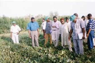 Training Short Term Training Programmes Themes : Sustainable agriculture Integrated pest management