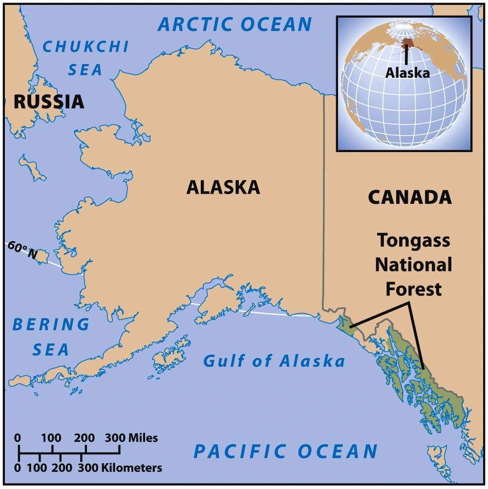Case-In-Point Tongass National Park One of world s few temperate rainforests Prime logging area