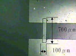 (a) 100 o C. The temperature and humidity in the test chamber could be adjusted separately and could then be maintained at constant levels.