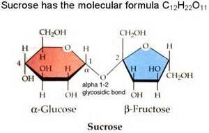Table Sugar Also known as Sucrose Disaccharide, composed of