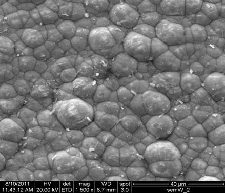 Fig 3. SEM micrograph of Ni-P-W coating parameter for the mechanical properties of the material. The surface roughness of the sample before and after coating was measured.