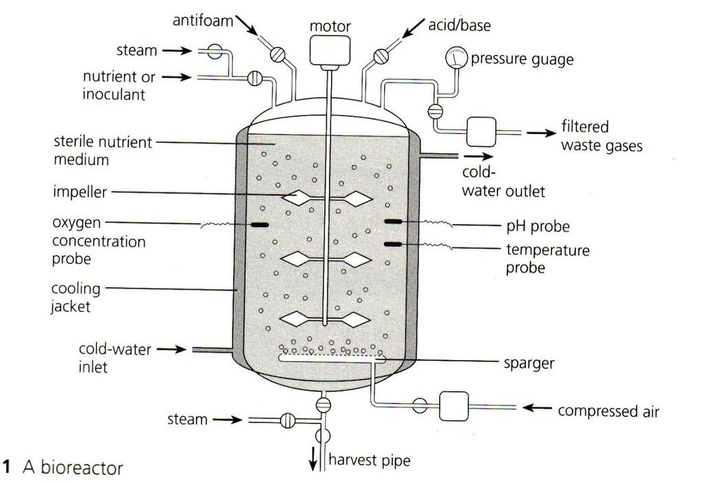 Fermenters are vessels used to grow