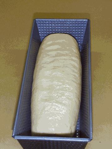 The bubbles of CO 2 remain trapped in the sticky dough causing it to rise.