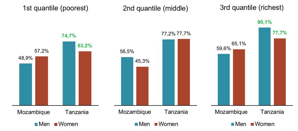 Fewer women own a mobile phone relative to men in Tanzania. However, in Mozambique, there are no significant gender differences in mobile phone ownership.