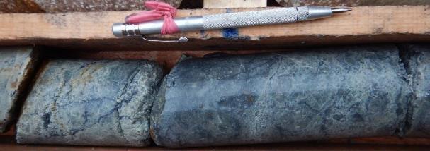mineralization continuity demonstrated Results