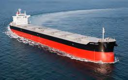 Vessels with Large Scale Ecochlor Systems Systems in operation since 2004 Ideally suited for installation on the largest bulkers and tankers in