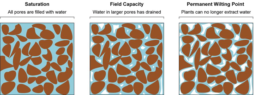 Figure 2. Soil water content at saturation, field capacity and permanent wilting point thresholds. vital to plant survival come to a near stop.