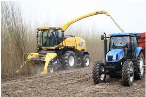 Year Operation Inputs 1 Prepare field Fertilize, Plant Weed Control Willow Management Cuttings, 2 Coppice first year plants to shrub 5 Harvest 9 Harvest 13 Harvest 17 Harvest 21 Harvest Photo credit: