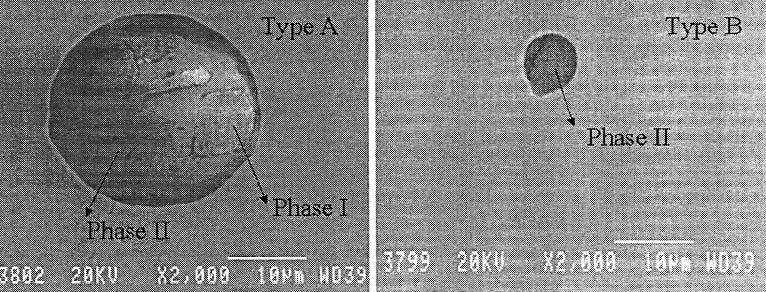 Figure 8. Microscopic photographs of the two inclusions types A and B observed in the steel samples before uphill casting does not have a narrow composition range.