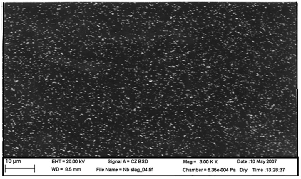 (a) (b) Fig. 7. Microstructure of the Nb Al alloy at the aluminium content of 4.5%. (a) Al in the field of X-ray.