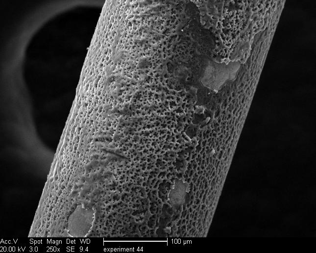 0.01v% Al 2 O 3 SEM Picture of SS316 Wire After Boiling of DI Water SEM