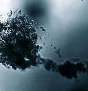 Biodegradable microparticle of