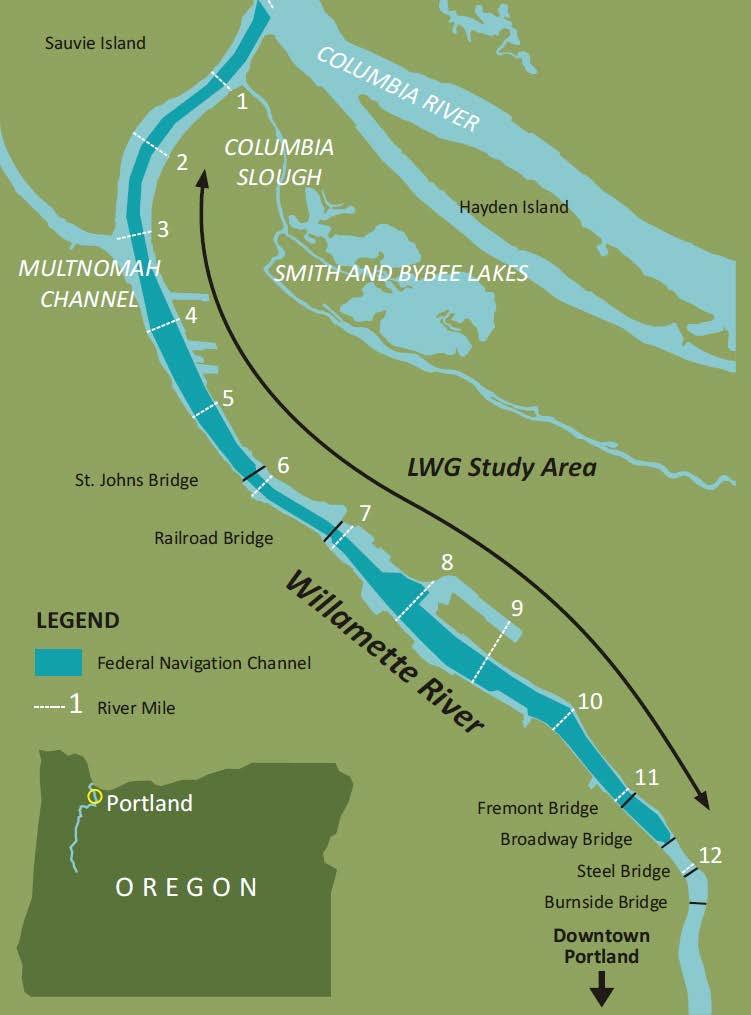 Overview of Site Eleven-mile urban/ industrial portion of Lower Willamette River downstream of Portland Modified extensively over
