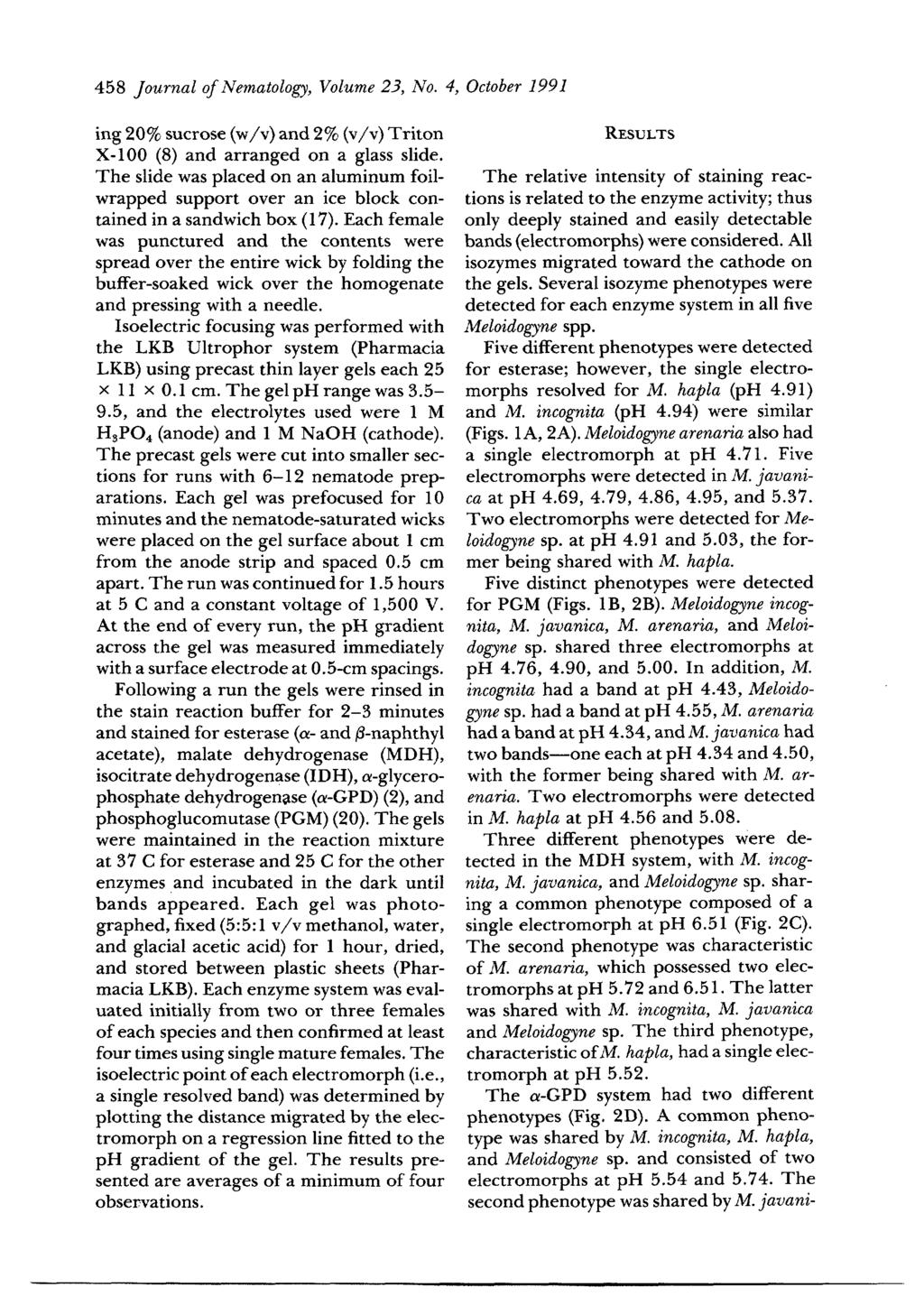 458 Journal of Nematology, Volume 23, No. 4, October 1991 ing 20% sucrose (w/v) and 2% (v/v) Triton X-100 (8) and arranged on a glass slide.