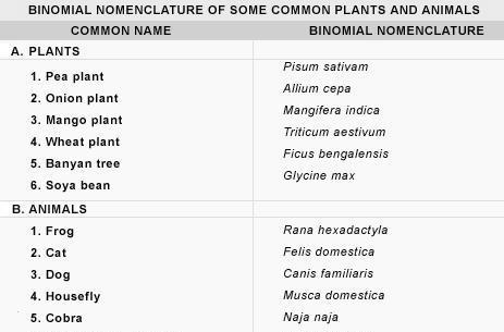 Figure 6: Binomial Nomenclature (Common Names vs Scientific Names) Figure 7: Linnaean Classification System *This system is based on