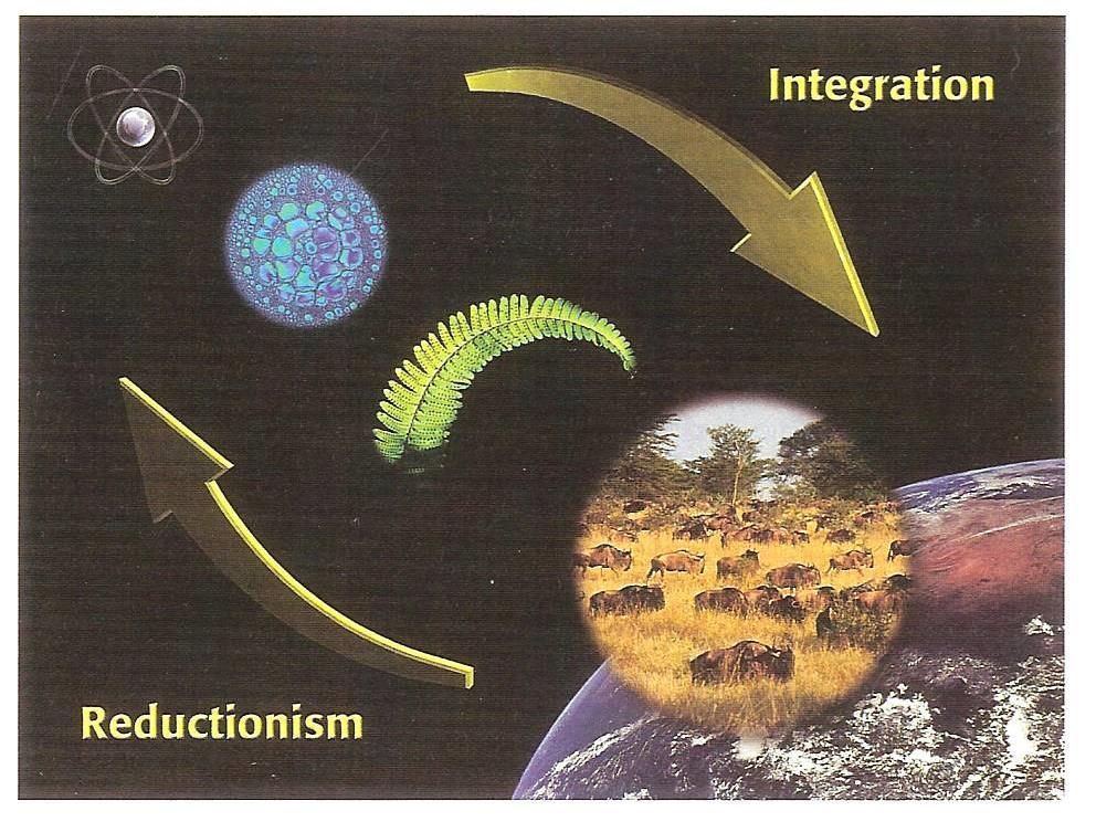 Biocomplexity Synthesis & integration of information across temporal, thematic and spatial