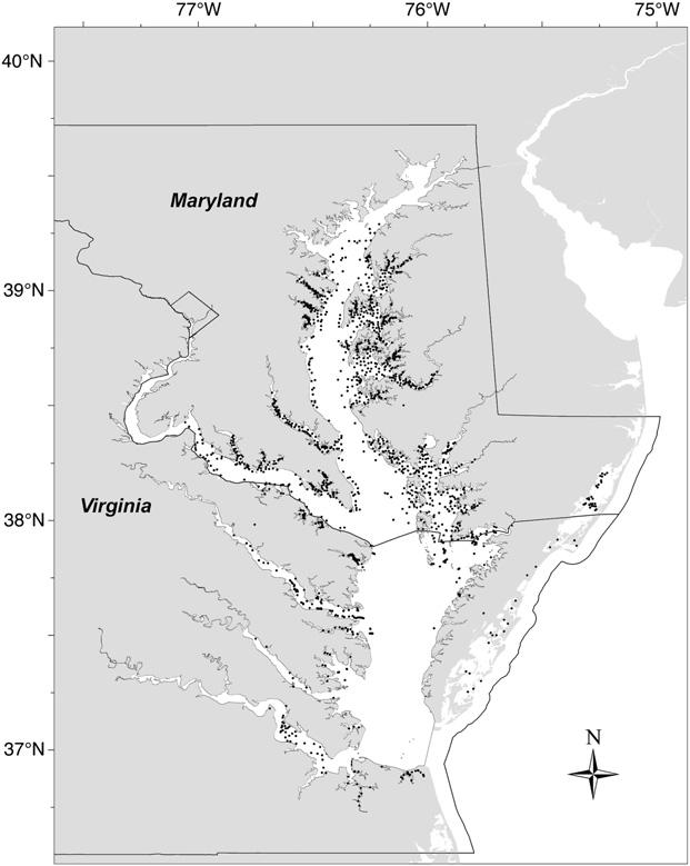 RESTORING MARYLAND AND VIRGINIA OYSTER POPULATIONS 723 Figure 2.