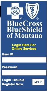 System Information Logging in to the System You can log into the system from the secure Blue Cross