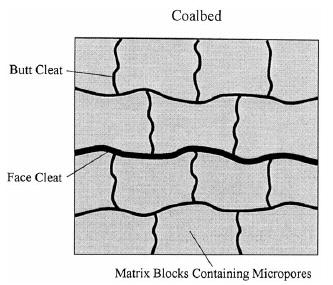 Coal structure Microporosity controls adsorption (95% of surface) Macroporosity controls coal