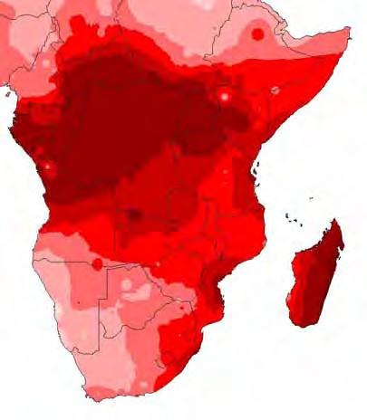 Africa - The extreme example for a highly variable abiotic stress environment Rainfall 1988-1998 Rainfall and maize yields E&S Africa Rainfall (mm) 1200