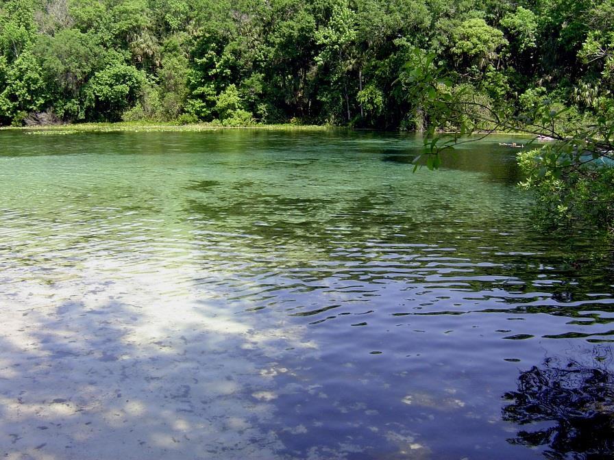 Marion County is home to three First Magnitude Springs.
