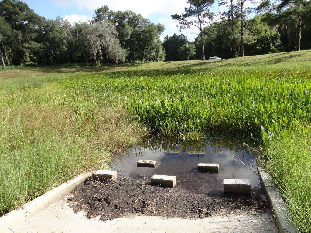 Rainbow Springs Country Club Estates Existing dry retention pond. Water table at the pond bottom.