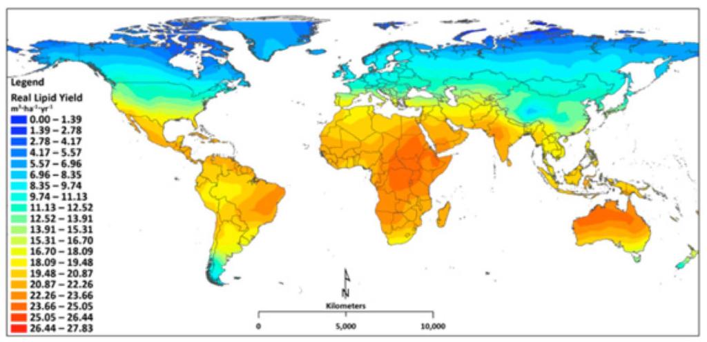 Meteorological data and lipid yield Figure 8-3: Overview of global current near term lipid productivity of microalgae based on a validated biological