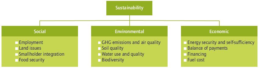 Sustainability of Biofuels Sound policies are needed to ensure biofuels are produced sustainably Adoption of internationally aligned sustainability certification for biofuels Certification schemes