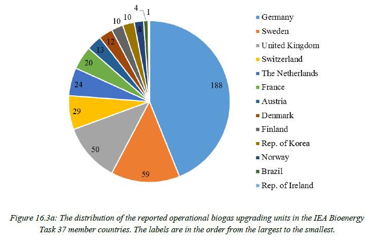 Distribution of biogas