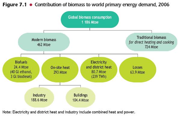 Global targets for bioenergy More than 2.5bn people depend on traditional forms of biomass WEO (2008) Biomass accounts for approx.