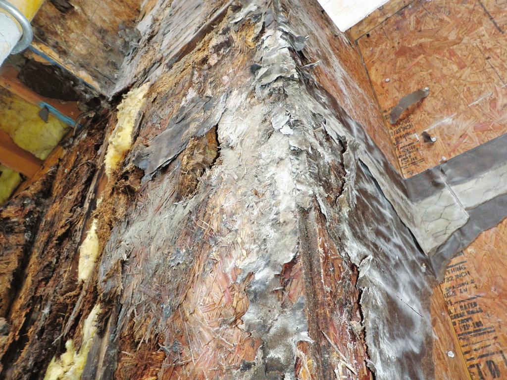 Significant structural damage has resulted in building owners having to remove the existing wall cladding, repair the structure waterproofing, reskin entire building façades.