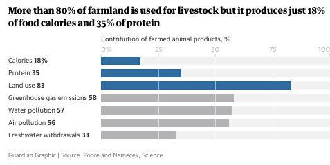 The new analysis shows that while meat and dairy provide just 18% of calories and 37% of protein, it uses the vast majority 83% of farmland and produces 60% of agriculture s greenhouse gas emissions.