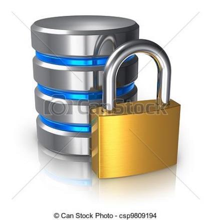 Risks Data Security Access Security