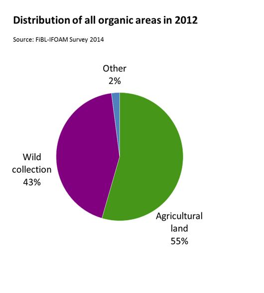 The 15th Survey on organic agriculture worldwide The 15th survey on organic agriculture worldwide was carried out by the Research Institute of Organic Agriculture FiBL in cooperation with the