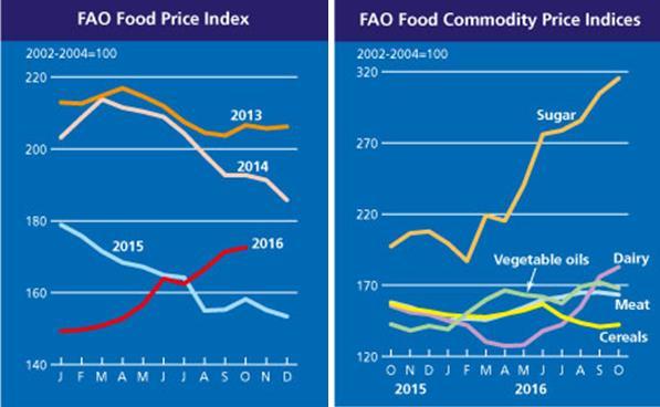 Southern Africa Monthly Food Price Update November 2016 Highlights: The National Crop Estimate Committee s data showed that RSA 2016/17 total maize plantings could increase by 27% from the previous