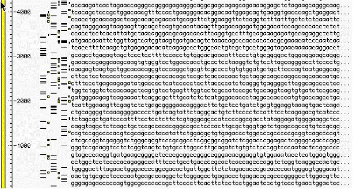Sequence each segment & arrange based on overlapping nucleotide