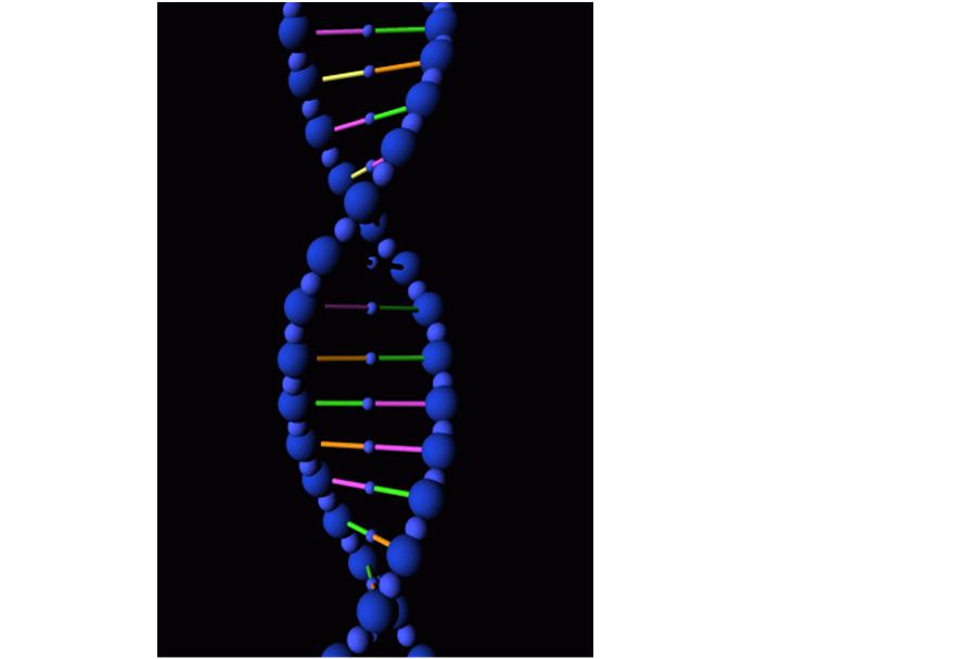 DNA in 5 minutes or less the sequence of the