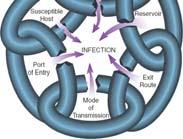 Chain of Infection (cont