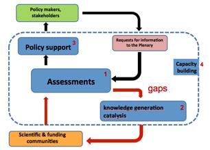 What does policy support mean?