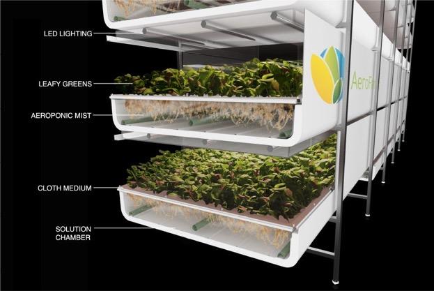 Vertical Agriculture