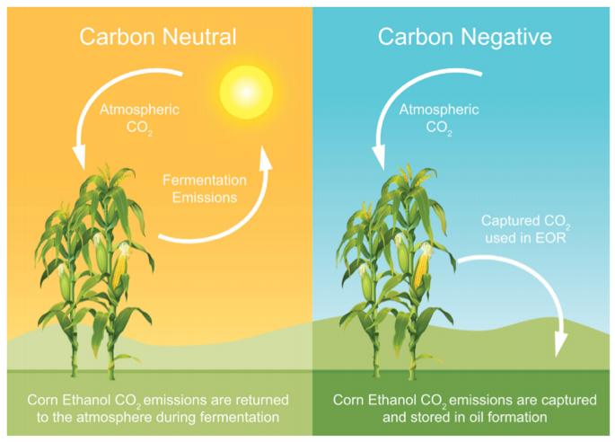 Leveraging the bioeconomy to create significant carbon negative