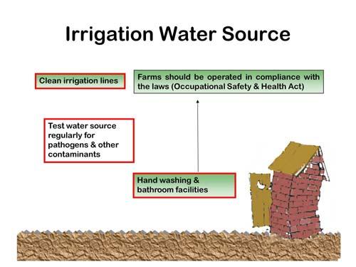 Growers 2010 11 Irrigation water is a potential source of contamination, especially if the water is from a well, river, lake, or pond.