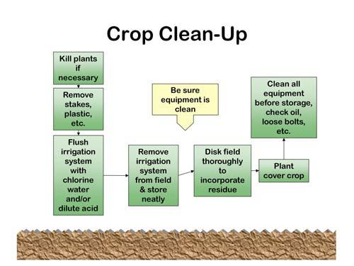 When a crop is finished, the field should be cleaned up and all equipment cleaned before storage.