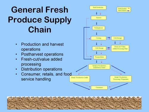 Growers of fresh produce, regardless of the amount grown or sold, are part of the fresh produce supply chain.